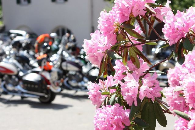 Bad Boll 2011 29 20121226 2065764547